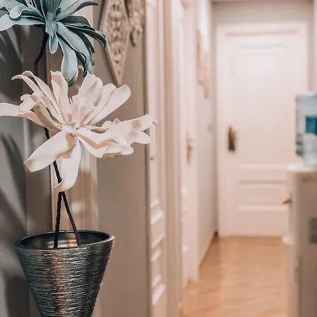 As Burgas Ii Caldas De Reis