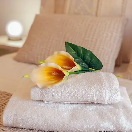 Gasthuis As Burgas Ii *